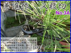 Kaneshin Bonsai Tools Branch Cutter No. 3A 205mm Made In Japan NEW
