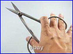 Kaneshin Bonsai Tools Long-handled Twig Trimming ScissorsNo. 825 210mm Japan NEW