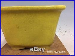 Larger Size Semi Cascade Yellow Glazed Bonsai Tree Pot By Koyo, 9 7/8