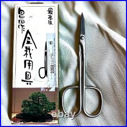 Masakuni Bonsai ToolsNo. 8028 Silver Pruning Shears Middle size