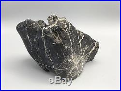 Natural polished Viewing stone suiseki-Ink stone hollowed lucky hole specimen
