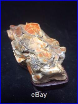 Natural polished Viewing stone suiseki-super skin Gobi desert beautiful specimen