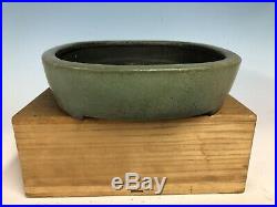 Pale Green Glazed Tokoname Bonsai Tree Pot Made By Koyo 14 1/8