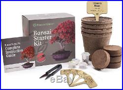 Planters' Choice Bonsai Starter Kit the Complete Kit to Easily Grow 4 Bonsa