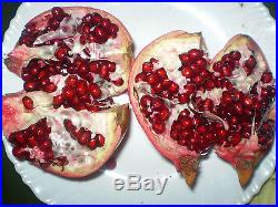 Pomegranate, DWARF TREE, BONSAI, 15 seeds! GroCo