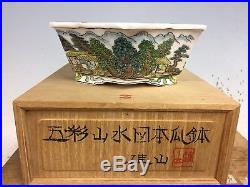 Rare 5 Color Shohin Bonsai Hand Painted Bonsai Tree Fujikake Yuzan 6