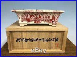 Red And White Glazed Bonsai Tree Pot Fugushige Bushuan 5 3/8 With Signed Box