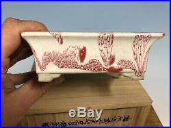 Red And White Glazed Bonsai Tree Pot Fugushige Bushuan 5 3/8 With Signed Box