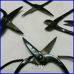 Set of 6 Vintage Hand Forged Bonsai Pruning Scissors, Shears, Pliers, Unmarked