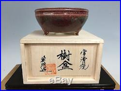 Special Edition Eimei Shohin Size Bonsai Tree Pot With Signed Box And Cloth 3+
