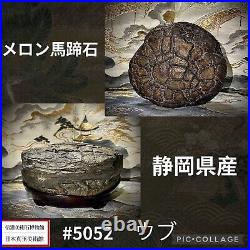 Suiseki Japan antique bonsai art view? 5052