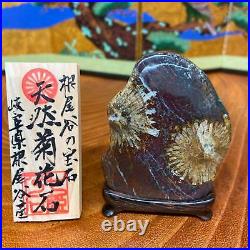 Suiseki Japanese Viewing Stones Natural Chrysanthemum Stone with Wood Board 90g