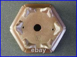 Tokoname Bonsai Pot SHIBAKATSU Brown Purple Outer edge Hexagon 118Ã106Ã48mm