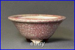 Tokoname Bonsai pot HATTORI Round White with Vermilion 160mm(diameter) x 73mm