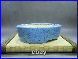 Tokoname Bonsai pot Oval Shape KOYO (L7.1 W5.5 H2.2 in.) Blue Color