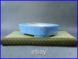 Tokoname Bonsai pot Oval shape KOYO (L7.3 W5.4 H2.0 in.) Light Blue