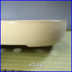 Tokoname Bonsai pot Oval shape REIHO (L9.1 W6.9 H2.0 in.) Light Yellow