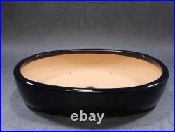 Tokoname Bonsai pot Oval shape REIHO (L9.1 W6.9 H2.0 in.) Shiny Purple