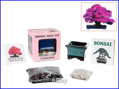 UNIQUE BONSAI Seed Kit FLOWERING Miniature Azalea PERFECT GIFT Special Sales