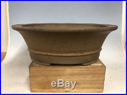 Unique Deep Style Tokoname Bonsai Tree Pot By Seizan 15 7/8 Great Color And Age