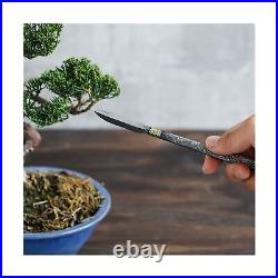 Wazakura Carbon Steel Spear Shaped Bonsai Jin Chisel 7.2 inches (185 mm) Made