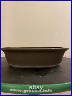 Yamaaki Japanese Bonsai pot 12.5 Inches Oval From Tokoname