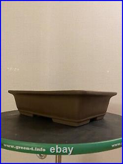Yamaaki Kinka 100 Yrs 16 Inches Bonsai pot Large Rectangular From Tokoname